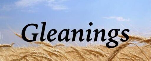 Gleanings From The Word