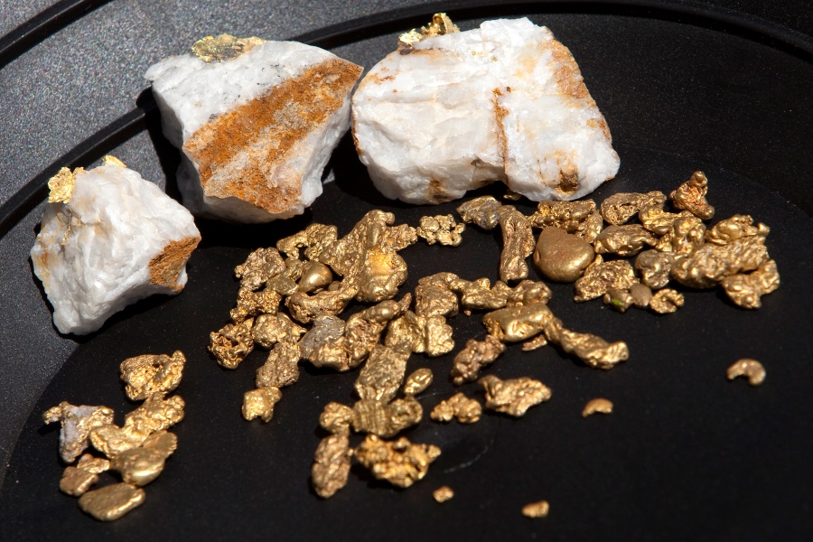 Rae Gold nuggets in pan - Gleanings From the Word