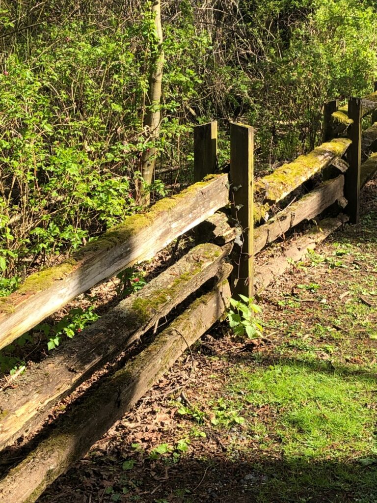 Split rail fence in Fishtrap Creek Park, Abbotsford. Gleanings From the Word,devotionals. Don't fence me in