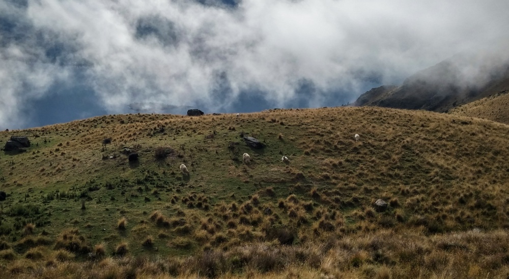 Lonely hillside, quiet places. solitude, spiritual disciplines , Devotional