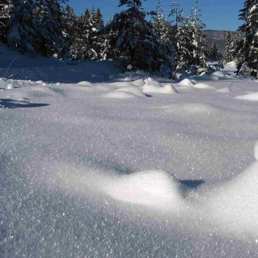 diamonds of sunlight reflected off snow