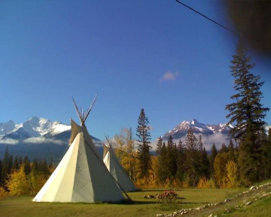 Tete-Jaune Tipis