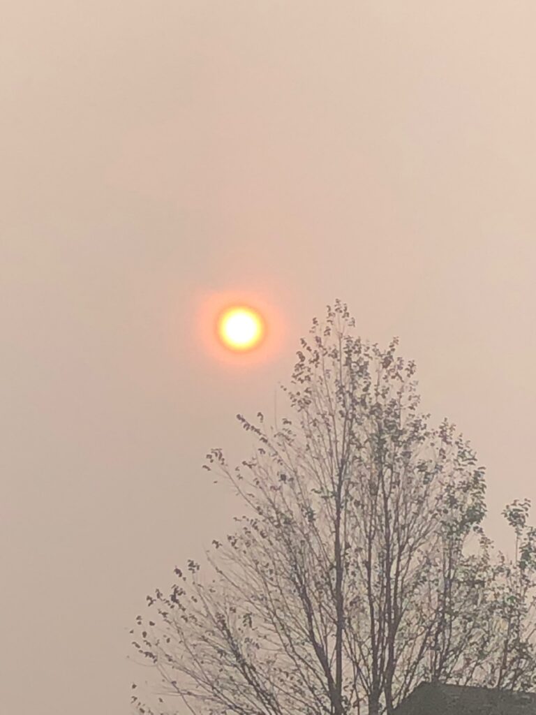 Sun obscured by woodsmoke in the air