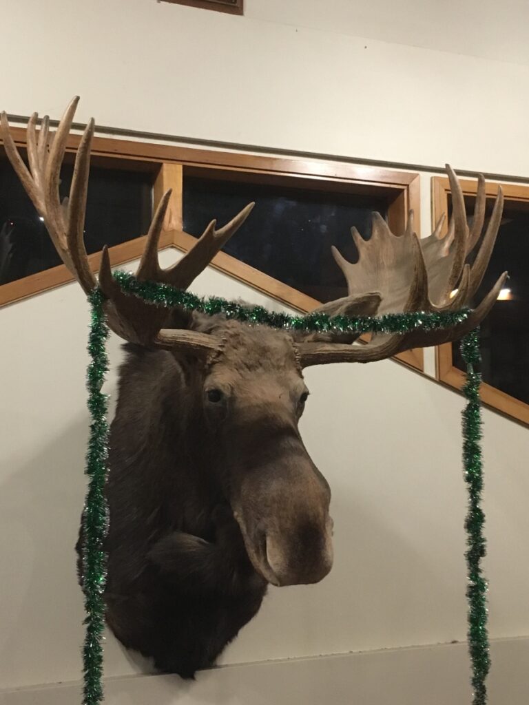 Moose head with tinsel garland