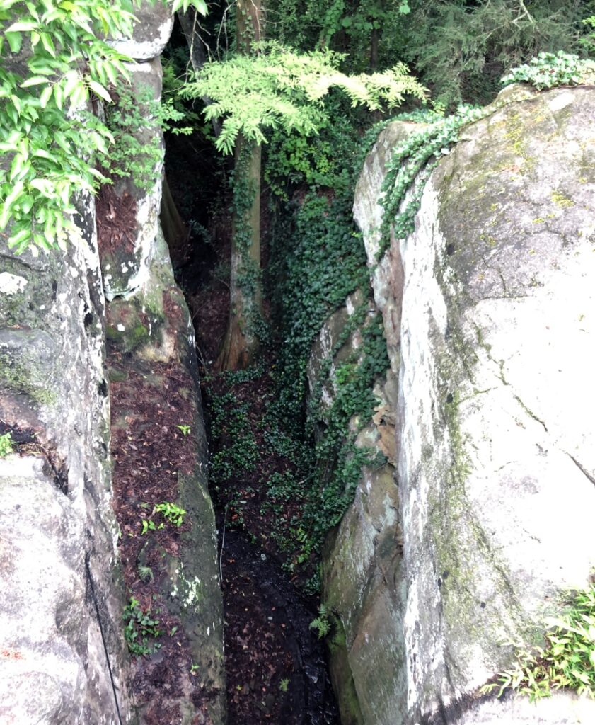 Htee going between in a crack between two boulders