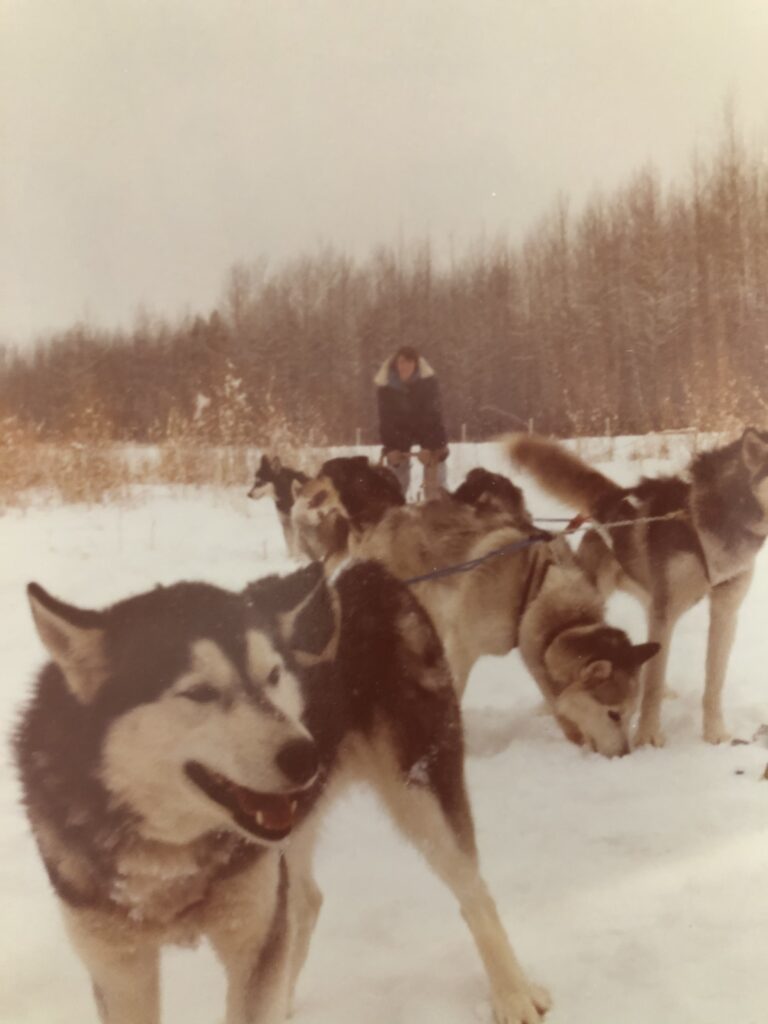Kathy with resting dog team, Fox Creek, Alberta c1977