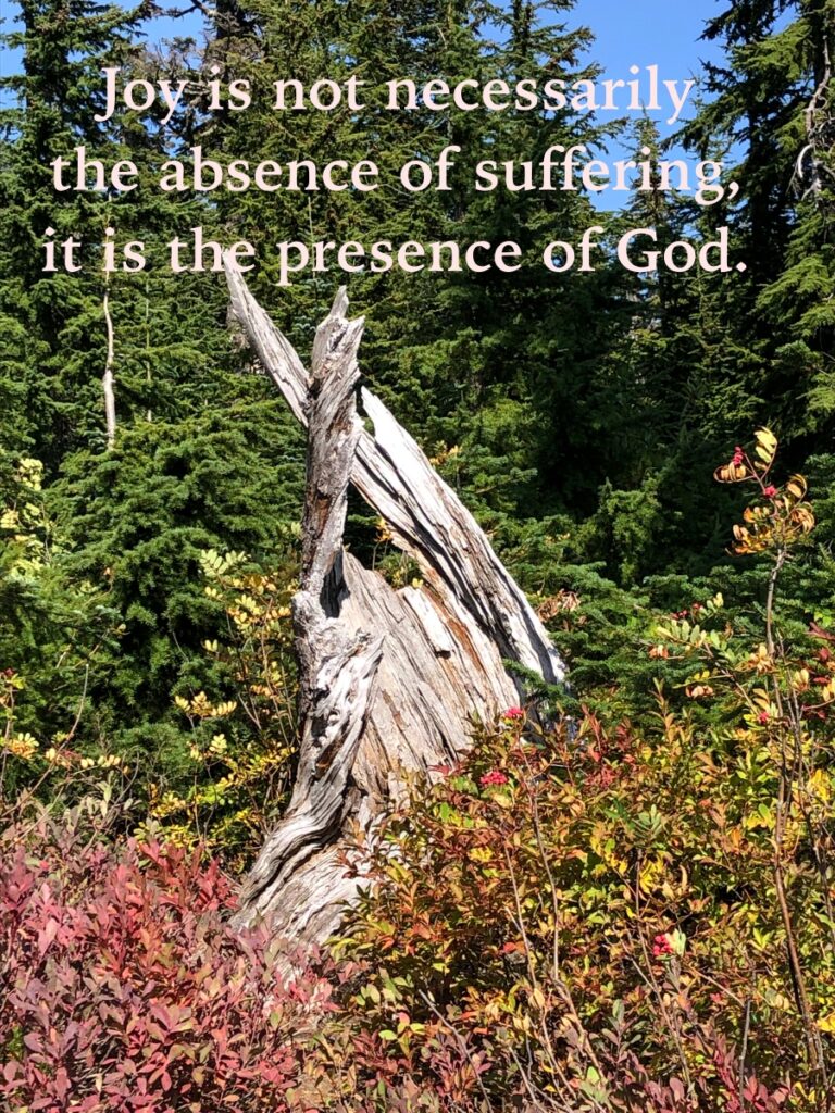 Rejoice