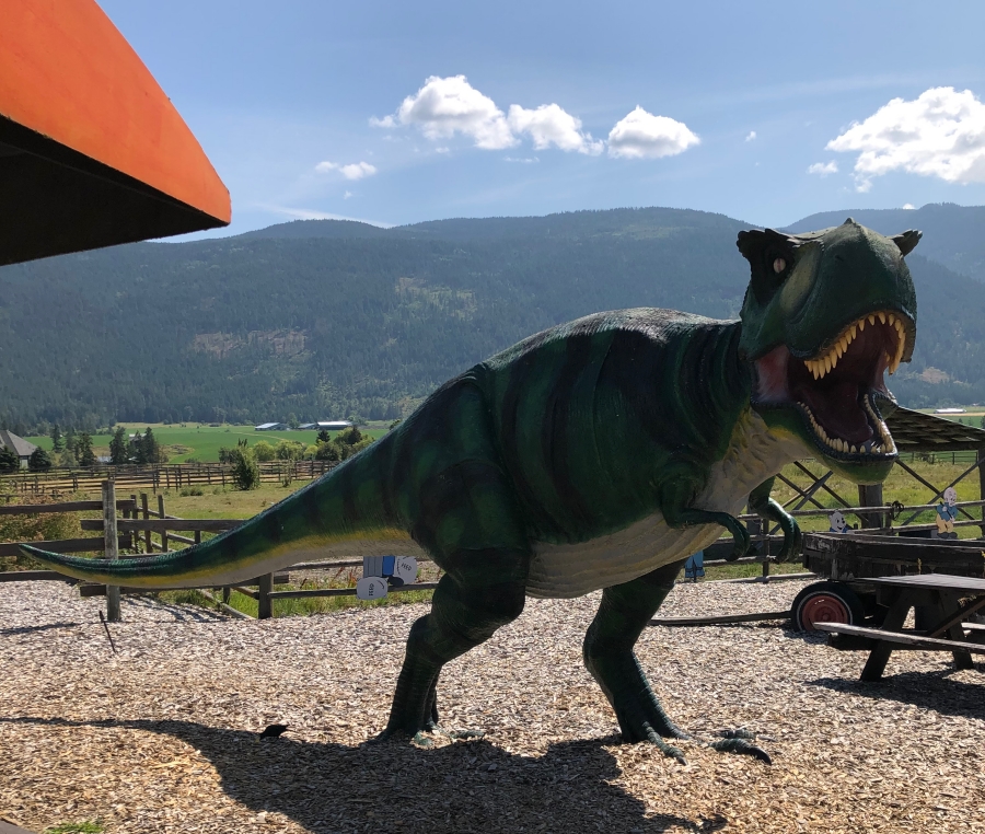 T-rex statue at the Log Barn in Armstrong BC