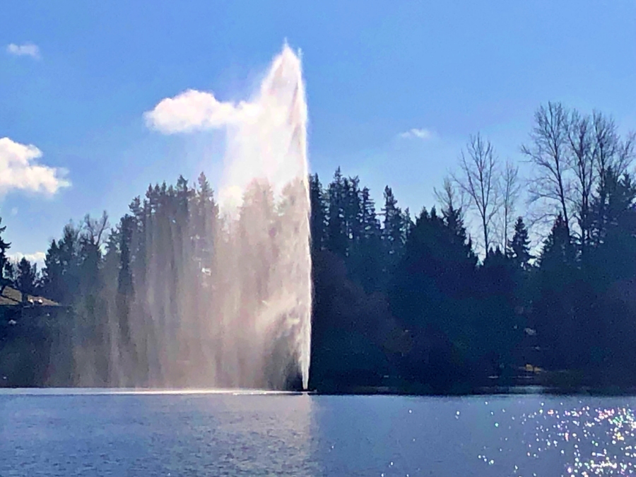 Fountain in Mill Lake Park, Abbotsford BC