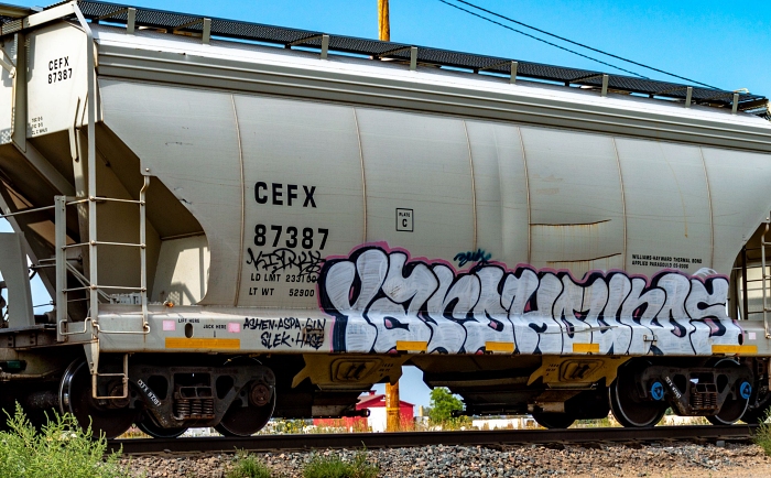 Gafittied "tagged" train car