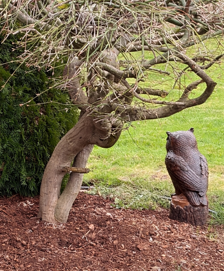 Two trees dancing with joy