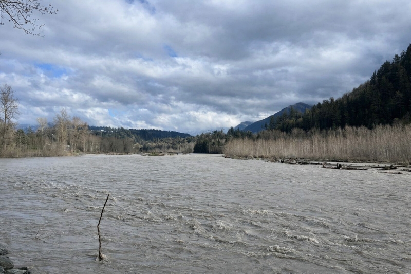 Vedder River near Chilliwack - flooding with the powerful atmospheric river