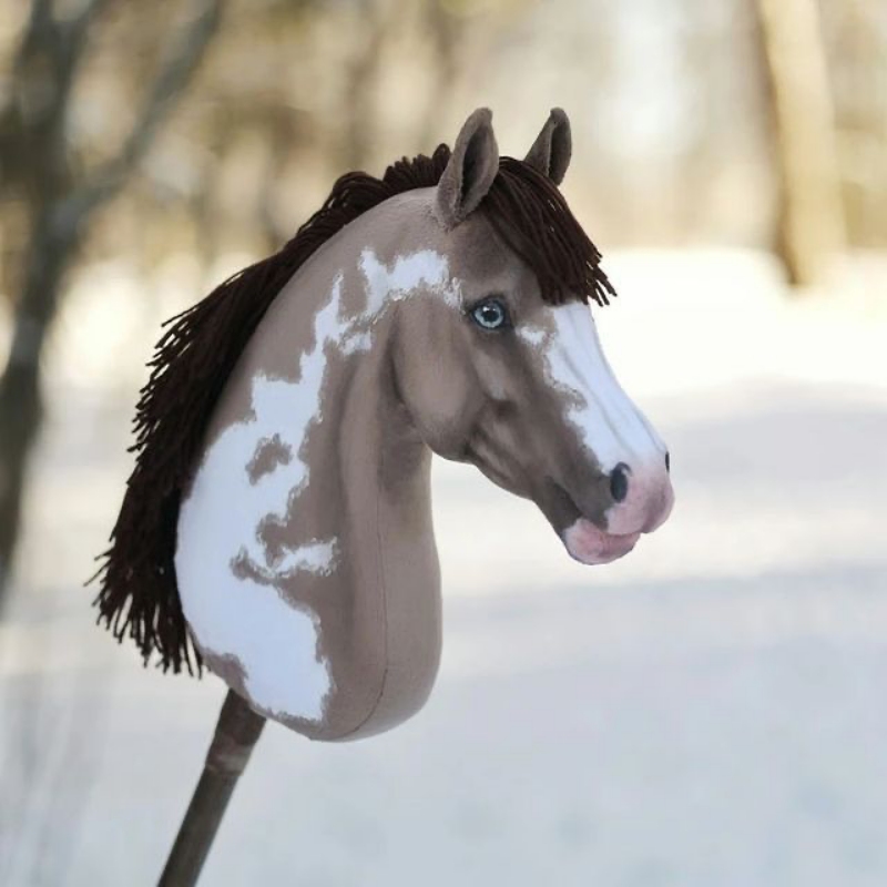Hobby Horse - a favorite topic - REad the Word