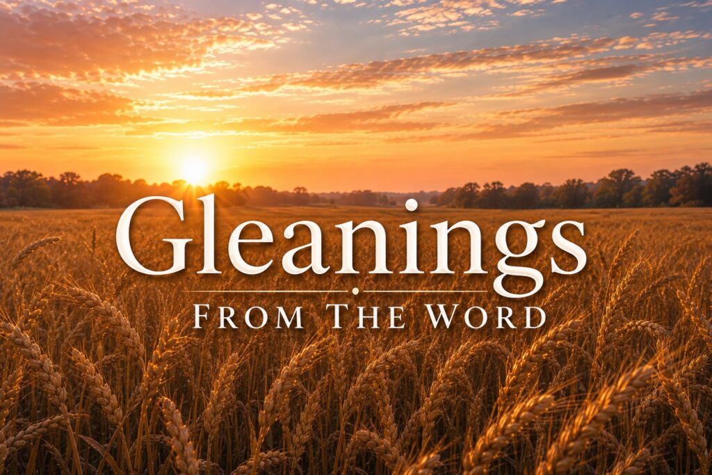 Gleanings From the Word - hedaer LOgo - Contact us