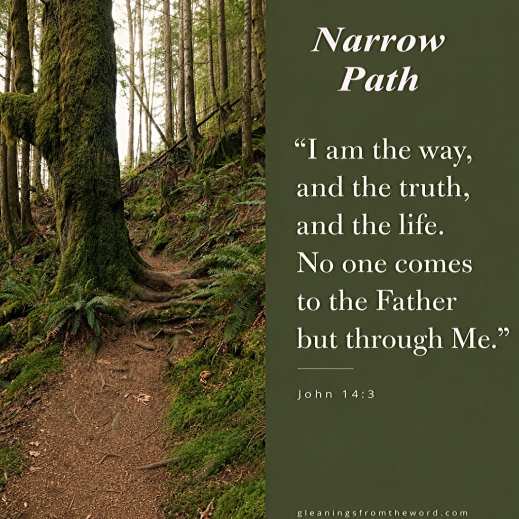 A narrow uphill trail in the woods - Is Christianity Too Narrow? What critics miss about the gospel. 