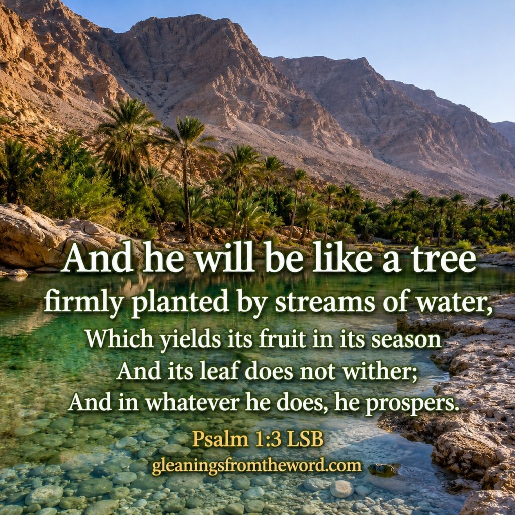 Oasis secene - theme the way of wisdom - Psalm 1:4
