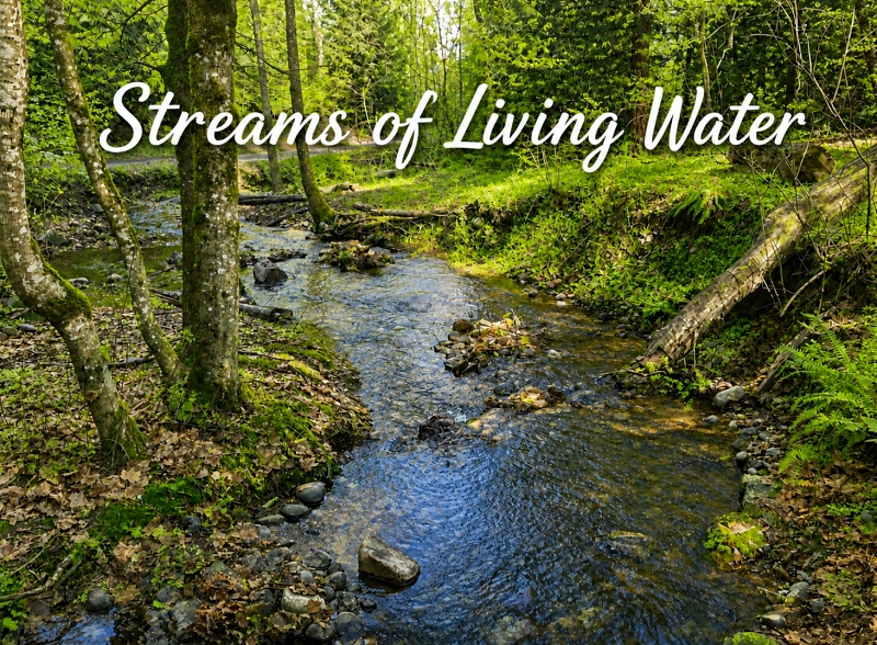 A woodland stream with the text Streams of living water