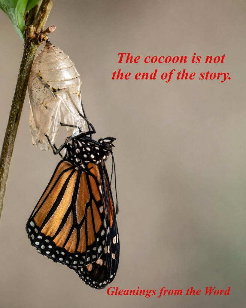 Profound change along the journey