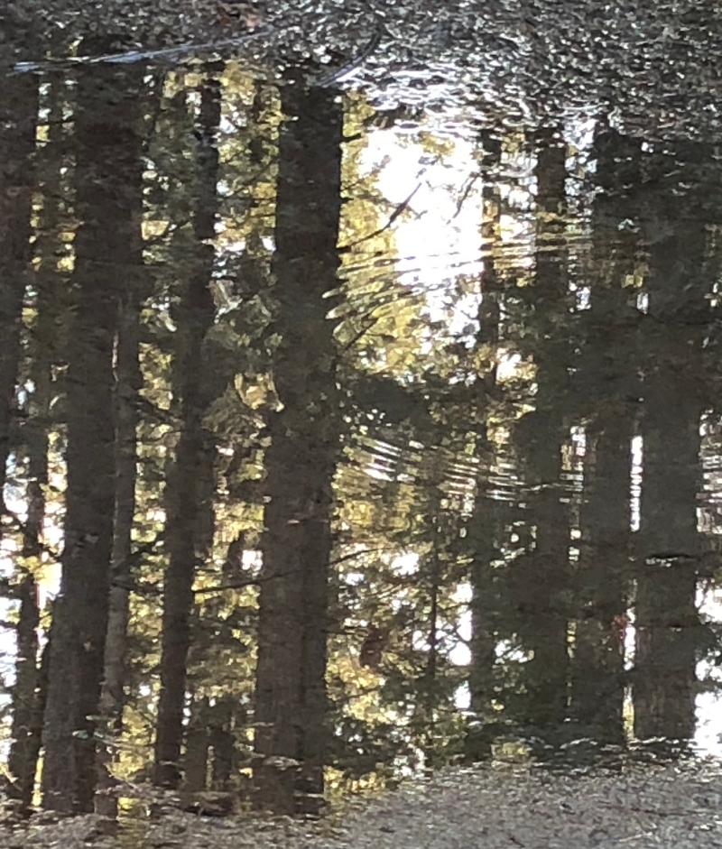 reflected in a puddle made me think of the countercultural Jesus