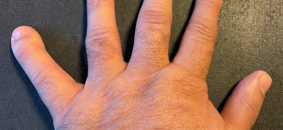 knowing the bible like the back of your hand