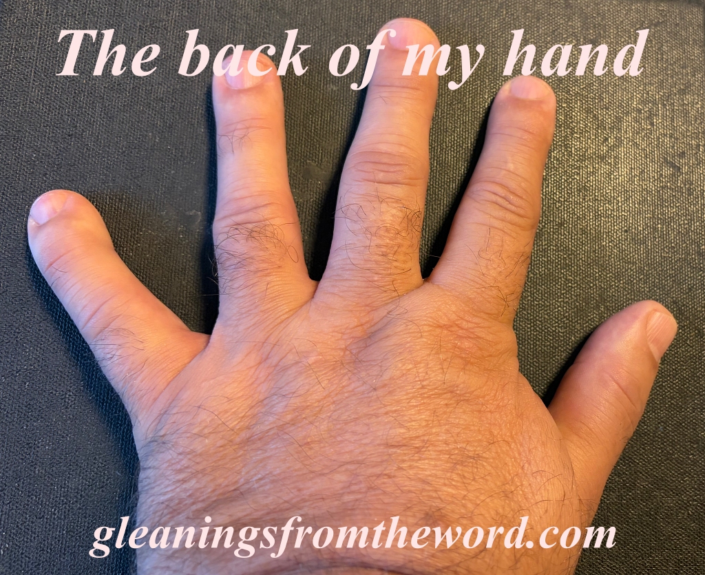 Knowing the bible like the back of your hand
