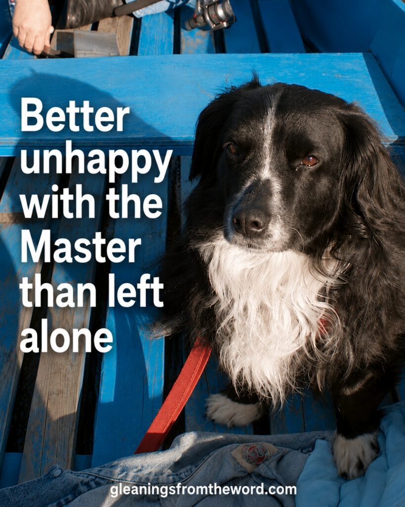 Unhappy dog in a boat - text better unhappy close to the master than left alone