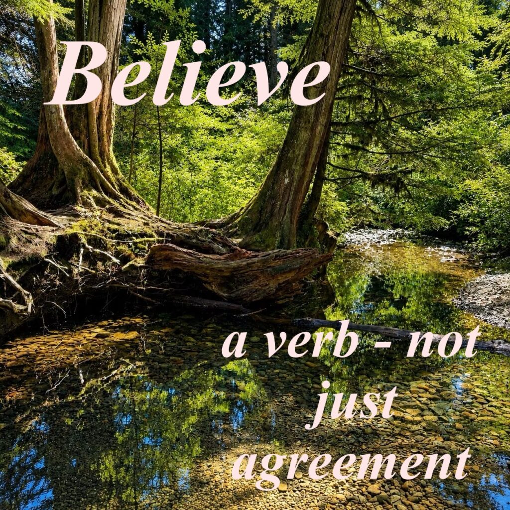 woodland scene with the text I believe