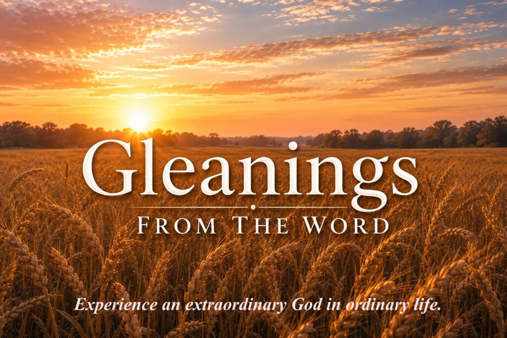 Gleanings From the word logo
