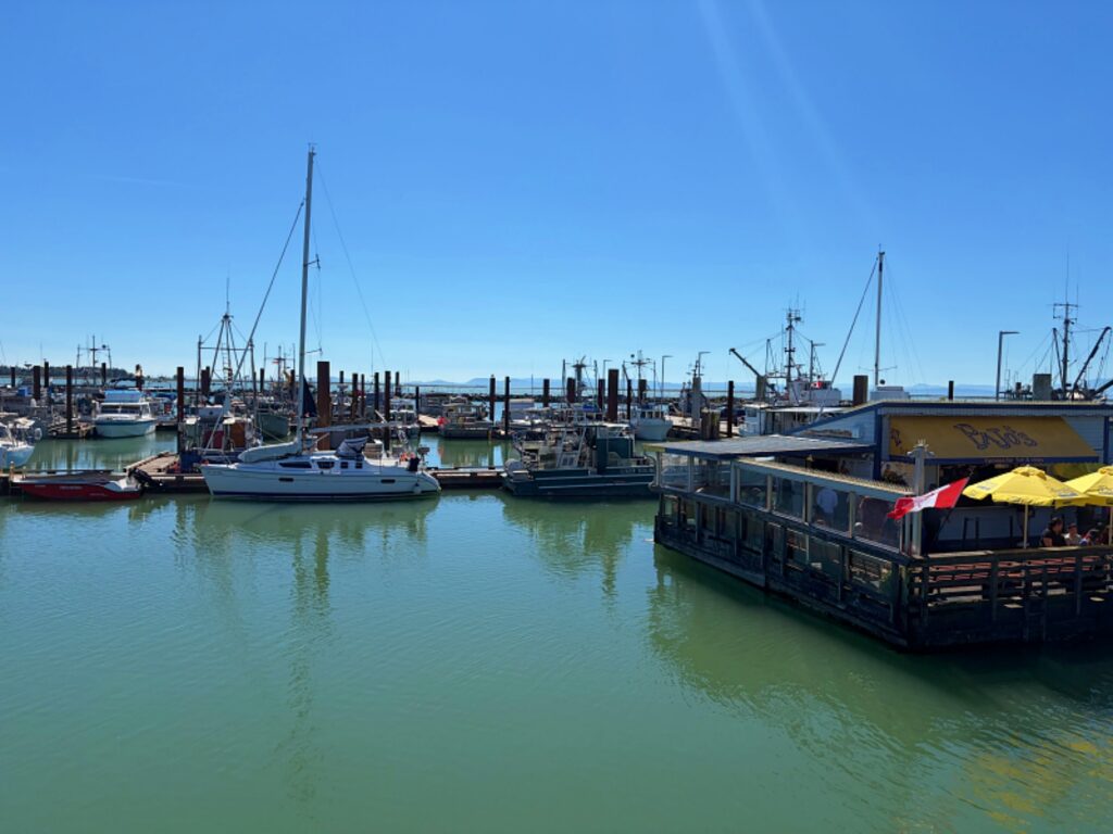 Steveston Harbor uagust 2026