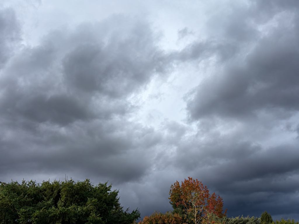 LIfe is full of storms. Dark gray storm clouds fill the sky above a green evergreen and a tree with orange and red autumn leaves.